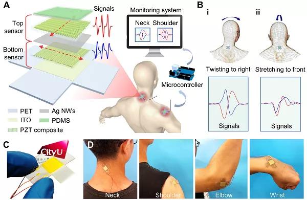 香港城大楊征保課題組Science子刊：一種新型柔性壓電陶瓷剪紙，用于預(yù)防關(guān)節(jié)疾病